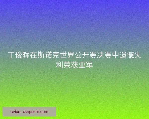 丁俊晖在斯诺克世界公开赛决赛中遗憾失利荣获亚军